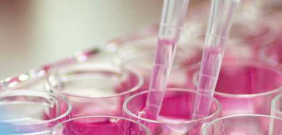 Máster en Genética y Bioquímica Médica