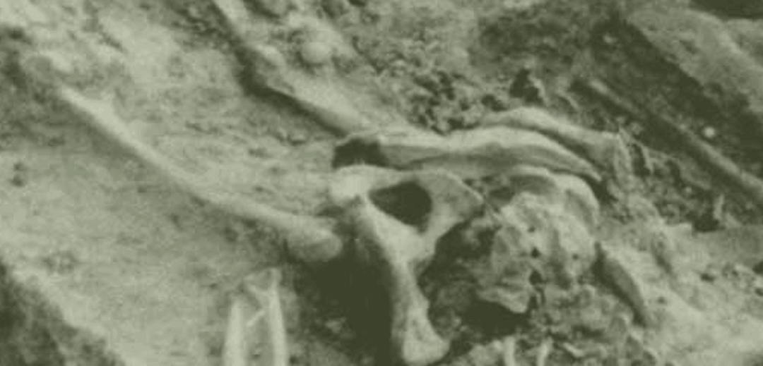 Máster en Antropología Forense